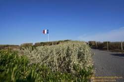 DSC05160