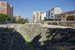 www.olmusfotografia.es