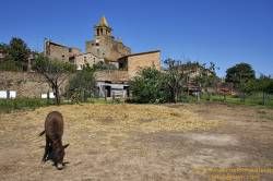 www.olmusfotografia.es