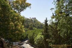 www.olmusfotografia.es