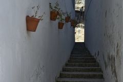 www.olmusfotografia.es