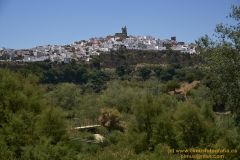 www.olmusfotografia.es