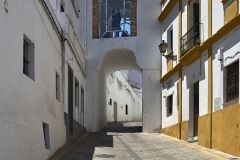 www.olmusfotografia.es
