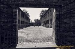 DSC07351