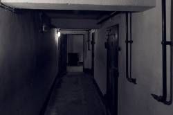 DSC07356