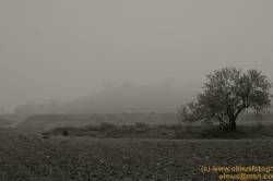 SONY DSC