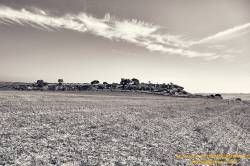 DSC06433-1