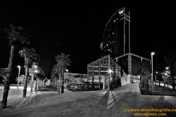 SONY DSC