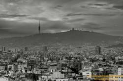 SONY DSC