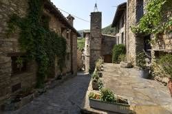 DSC05009