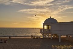 www.olmusfotografia.es