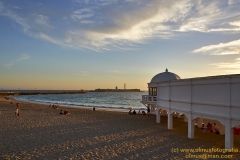 www.olmusfotografia.es