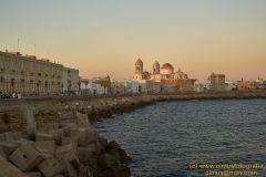 www.olmusfotografia.es
