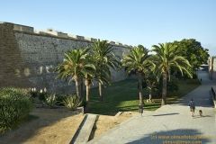 www.olmusfotografia.es