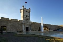 www.olmusfotografia.es