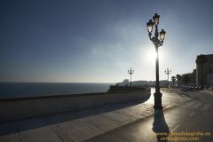 www.olmusfotografia.es