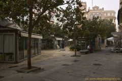 www.olmusfotografia.es