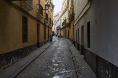 www.olmusfotografia.es