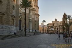 www.olmusfotografia.es