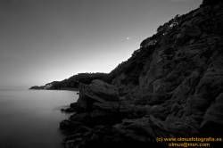 SONY DSC