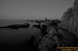 SONY DSC