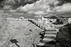 SONY DSC