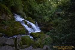 www.olmusfotografia.es