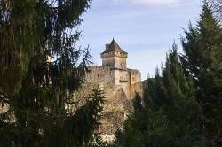 DSC05236