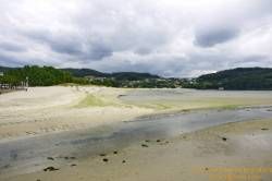 SONY DSC