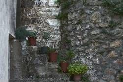 www.olmusfotografia.es