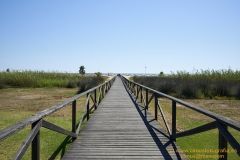 www.olmusfotografia.es