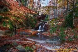 Fotografías de Santa Fe del Montseny