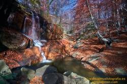 Fotografías de Santa Fe del Montseny
