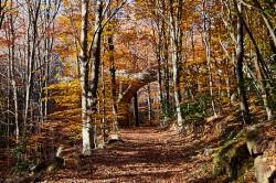 Fotografías de Santa Fe del Montseny