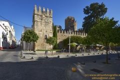 www.olmusfotografia.es