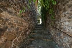 DSC02737