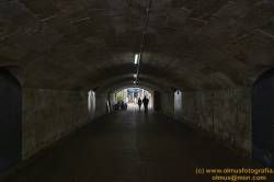 www.olmusfotografia.es