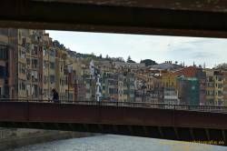 www.olmusfotografia.es