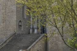 www.olmusfotografia.es