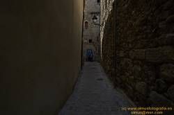 www.olmusfotografia.es