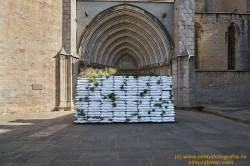 Fotografías de RPH