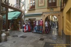 www.olmusfotografia.es