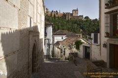 www.olmusfotografia.es