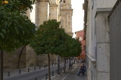 www.olmusfotografia.es