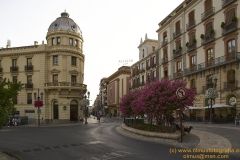 www.olmusfotografia.es