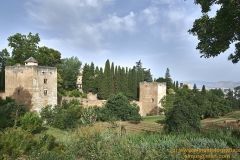 www.olmusfotografia.es