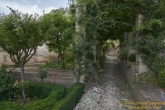www.olmusfotografia.es