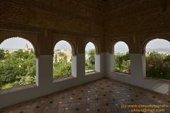 www.olmusfotografia.es