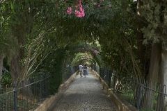 www.olmusfotografia.es