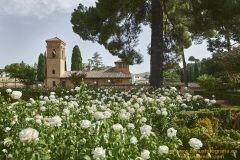 www.olmusfotografia.es